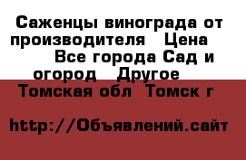 Саженцы винограда от производителя › Цена ­ 800 - Все города Сад и огород » Другое   . Томская обл.,Томск г.